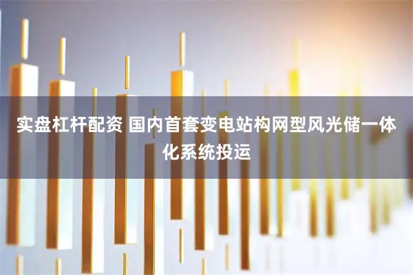 实盘杠杆配资 国内首套变电站构网型风光储一体化系统投运