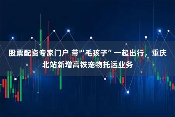 股票配资专家门户 带“毛孩子”一起出行，重庆北站新增高铁宠物托运业务