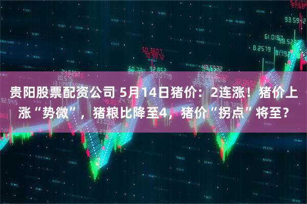 贵阳股票配资公司 5月14日猪价：2连涨！猪价上涨“势微”，猪粮比降至4，猪价“拐点”将至？
