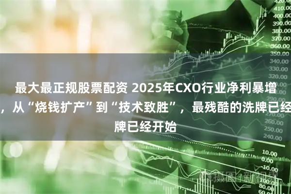 最大最正规股票配资 2025年CXO行业净利暴增85%，从“烧钱扩产”到“技术致胜”，最残酷的洗牌已经开始