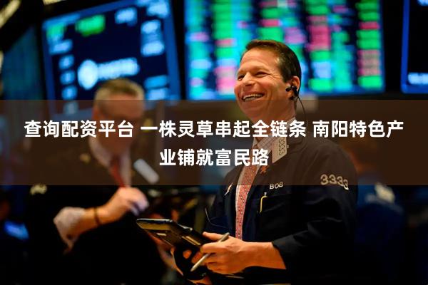 查询配资平台 一株灵草串起全链条 南阳特色产业铺就富民路